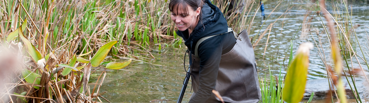 a student looks for animals in a swamp