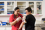 A Nurse giving a shot to a patient.