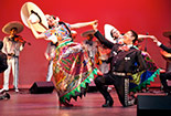 A traditional dance by two individuals