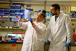 Students working together in a Lab.