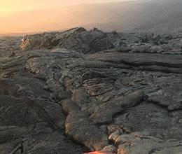 students study fossils and bones in a lab